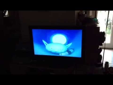 Pilchard in a Pickle