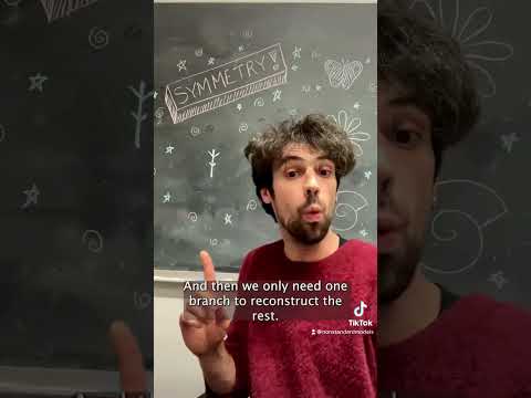 Symmetry is everywhere!