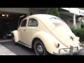 The Classic VW Beetle Bug How To Buy a Bug Online eBay