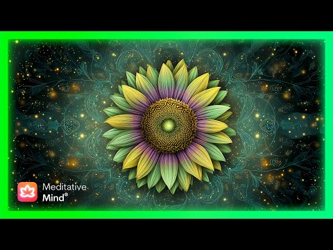 341Hz || HEART CHAKRA Healing || Attract Love || Chakra Flow Soundscape by Meditative Mind Originals