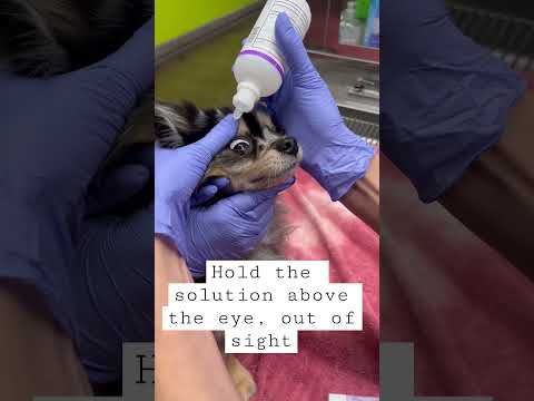 Lightsense K Moxifloxacin And Ketorolac Tromethamine Eye Drop