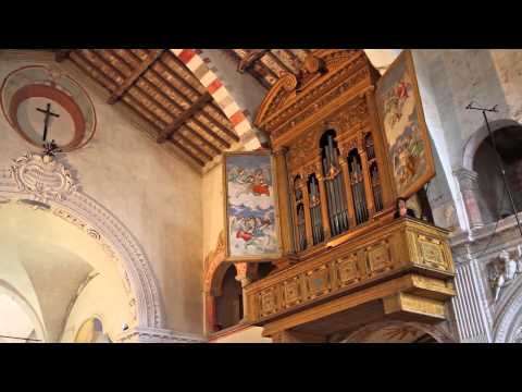 Carlo G. - Sub umbra illius