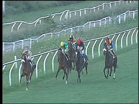 Galoppo 03/08/2016 - 3° corsa