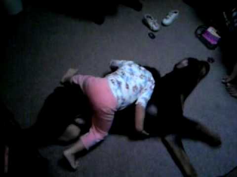 anisha y king the rottweiler