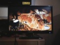 Closing To The Great Moues Detective 1992 VHS