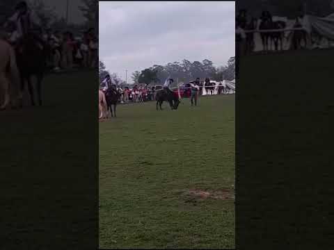 por paso de los libres ctes.