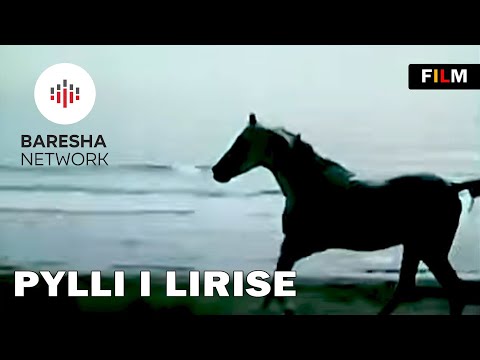 The forest of freedom / Movie Year 1976 - Pylli i Lirise (Albanian Old Movie)