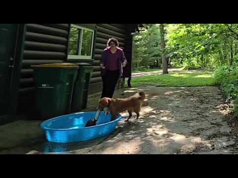 Moonshine, the kiddie pool and the bird: part 1