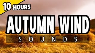 🎧 AUTUMN WIND - Wind Storm Sounds - 10 HOURS - Ambience SLEEP SOUNDS, for RELAXATION, Meditation