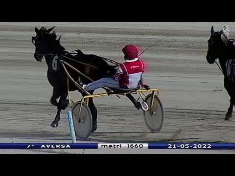 Aversa trotto 21 Maggio 2022 - 7° Corsa