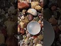Clear round sea glass. #beach #clear #SeaGlass