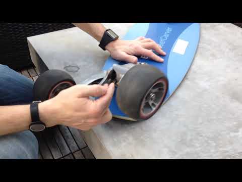 Early 2001 BMW Street Carver Skateboard - Overview from my Manhattan Treehouse