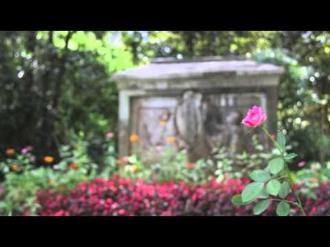 Synergy  The Natural Choice