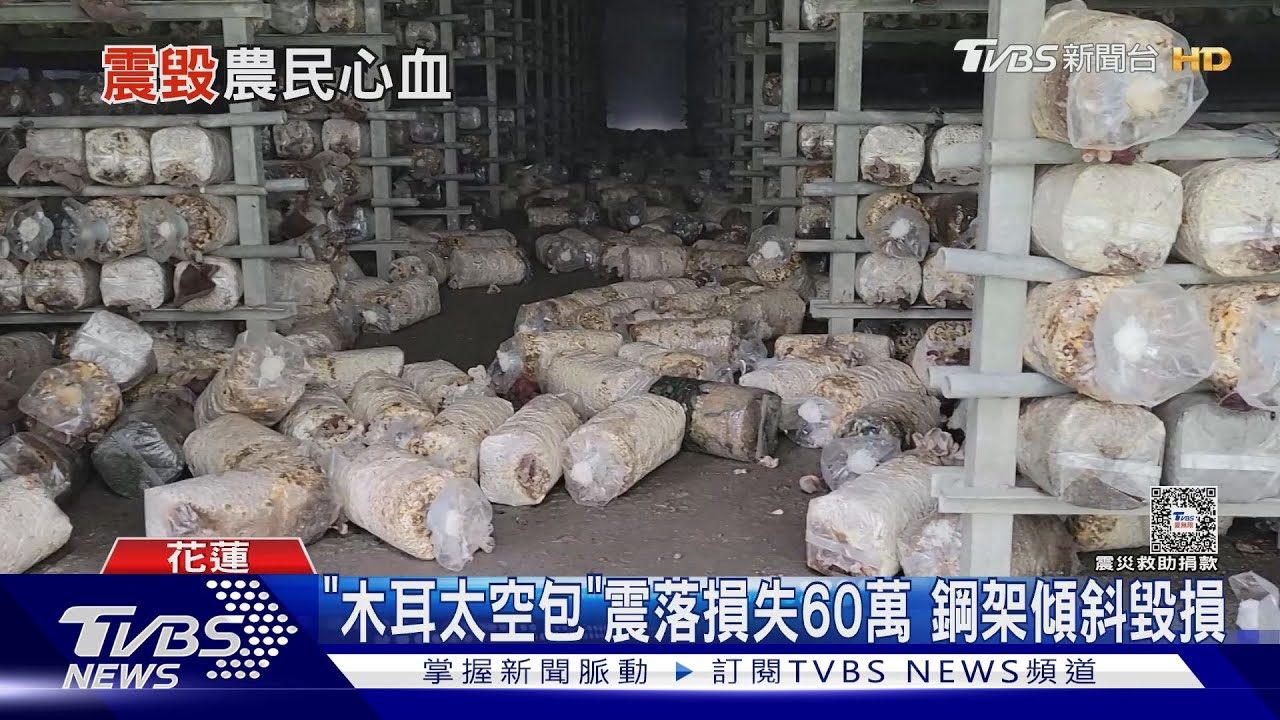 「木耳菇太空包」被震落地 漁網斷裂魚全沒了