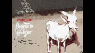 Capsule - Somebody's watching me
