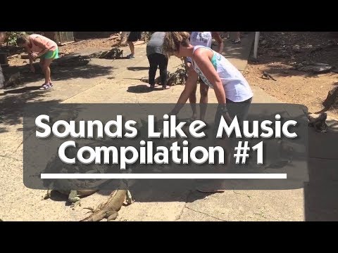 Sounds Like Music Compilation #1