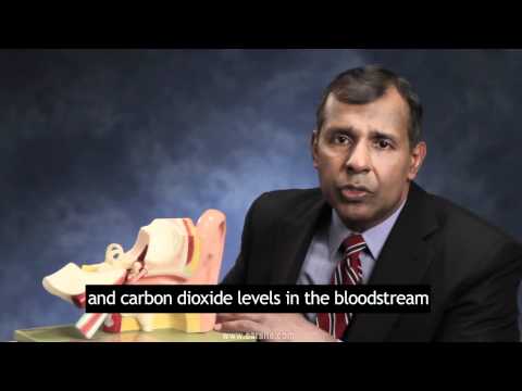 Glomus tumors with Subtitles