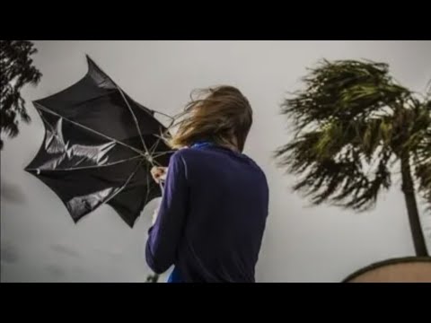 Ventania - Silvestre Kuhlmann
