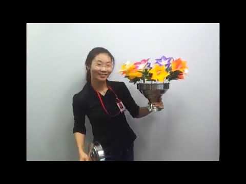 Saturn Magic -Nari Flower by JL Magic - Trick