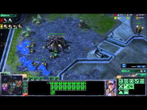 vileSpanshwa vs Liquid TLO - Game 3 Part 1