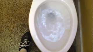 preview picture of video 'Bathroom Tour: Pro flo Toilet Souvlaki Restaurant Blacksburg VA'