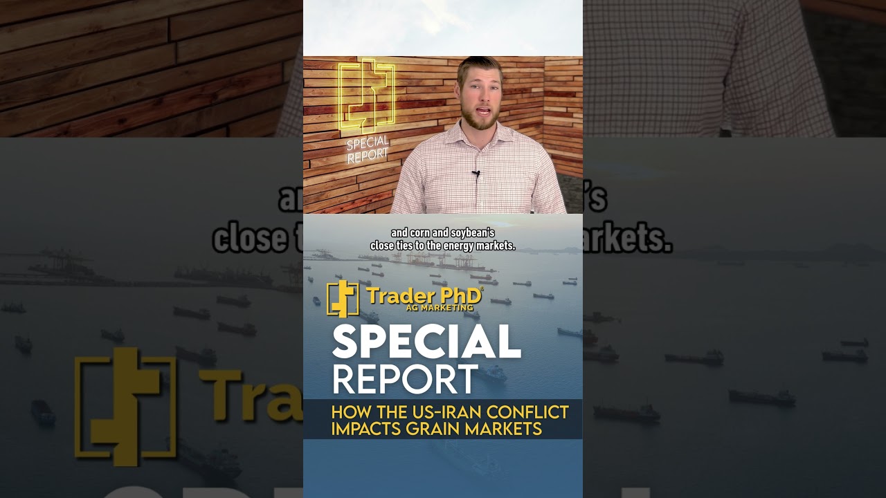 Special Report: How the U.S.-Iran Conflict Impacts Grain Markets