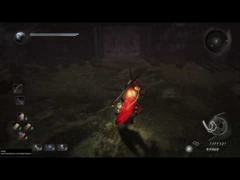 Nioh | Honda Tadakatsu Boss Fight | No Damage Taken/No Crystals | Parry Greatness