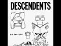 Descendents - Shattered Milo 