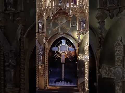 Adoracion Al Santisimo Sagramento del Altar con el Padre Fabian Esteban Oliva. 01/08/26
