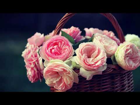 Lejletu'r-regaib v Miradz