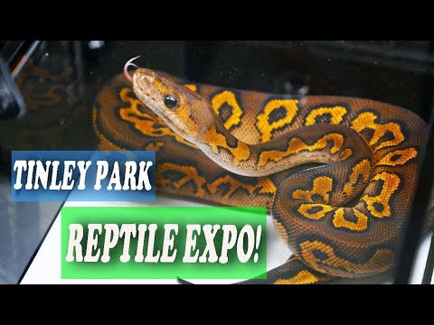 YouTube video about: When is the tinley park reptile show?