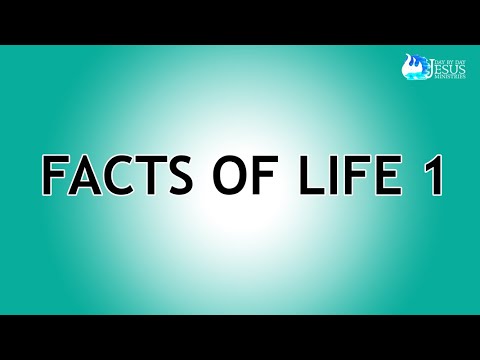 2023-09-13 Facts of Life 1 - Ed Lapiz