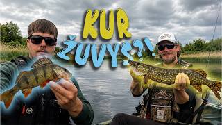 3 žvejybos iš kajako!  Bet žuvys turėjo kitų planų..