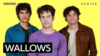 Wallows Your Apartment Official Lyrics & Meaning | Genius Verified