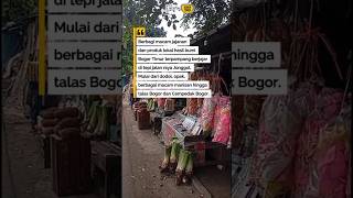 Video Bogor Timur Parameter - Desa Sukamanah, Surga Oleh-Oleh Khas Bogor Timur di Jalur Jonggol