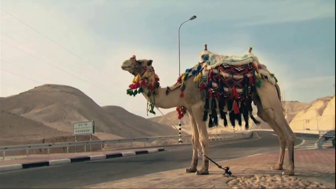 Miniature de la vidéo Cinéma - Portrait - Raed Andoni - Fix Me du film Fix Me