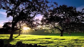 Anhelo tu gloria (subtítulos)