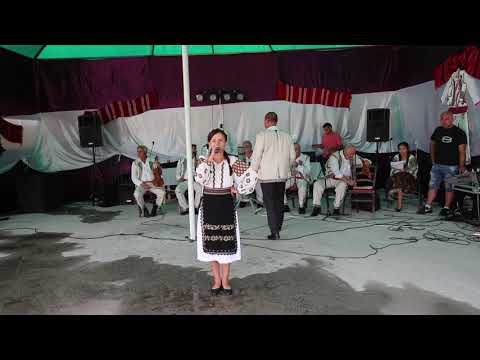 FESTIVALUL "GHEORGHE CIOCIU" BERLESTI - GORJ 2017 (Imagine: Ionel Cilica-DEACONU)