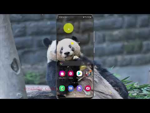 How change App permission to access microphone in Samsung Galaxy S21, S21Plus, or S21 Ultra
