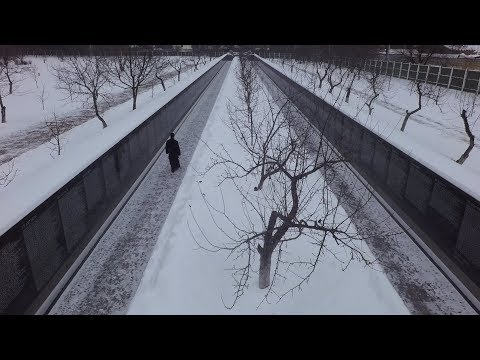 Трейлер