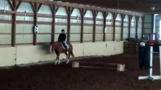 Chester and Ana Improved Cantering
