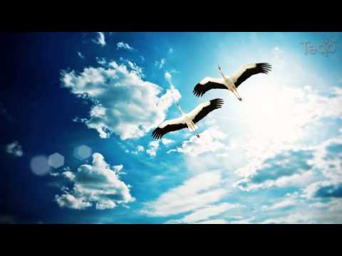 501 - HeadRush ft. Belle Humble