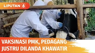 Download lagu Vaksinasi PMK, Pedagang Khawatir Karena Sapi Tak Dapat Dipotong Selama 6 Bulan ke Depan | Liputan 6 mp3