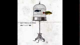 Zoé - Nunca (MTV Unplugged) Letra