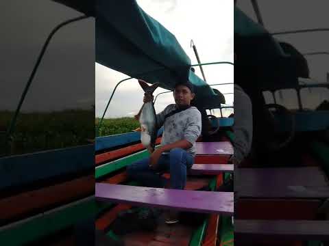 expresi wajah wajah kahimungan