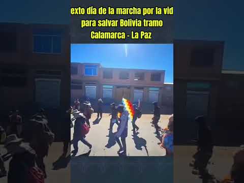 Sexto día de la marcha por la vida para salvar Bolivia tramo Calamarca - La Paz