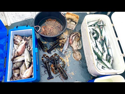 Amazing Commercial Fishing Day - Big Lobsters , Big Bream , Big Octopus  Mackerel Crab Squid 