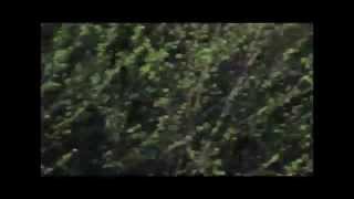 A Trip -Non Profit Production - Chrome Sparks - Cosmic Claps Of Love