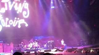Living Colour - Sunshine Of Your Love - Van Andel Area 8-4-15