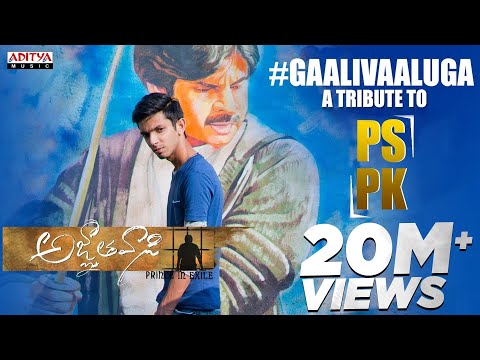 Gaali Vaaluga - A Tribute To #PSPK | Telugu Song